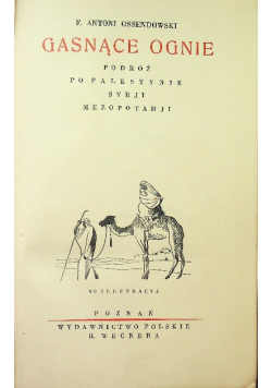 Gasnące ognie 1931 r.