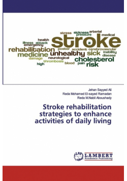 Stroke rehabilitation strategies to enhance activities of daily living