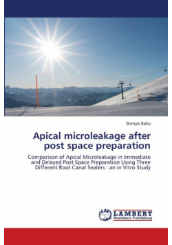 Apical microleakage after post space preparation