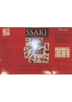 Ssaki IV