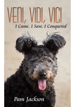 Veni, Vidi, Vici