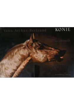 Konie