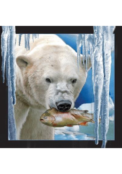 Pocztówka 3D Niedźwiedź polarny z rybą