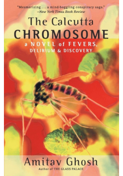 Calcutta Chromosome, The