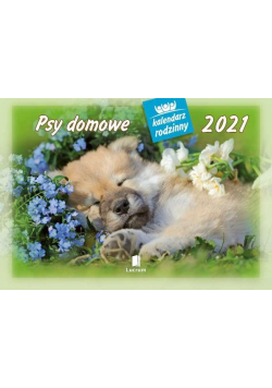 Kalendarz 2021 Rodzinny Psy domowe WL8