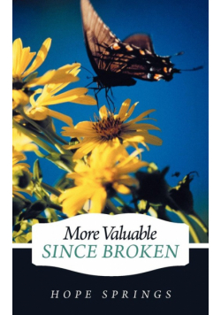 More Valuable Since Broken