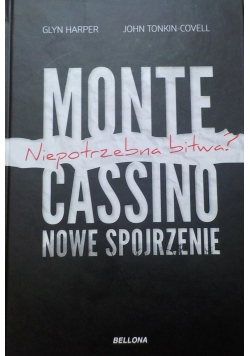 Monte Cassino nowe spojrzenie