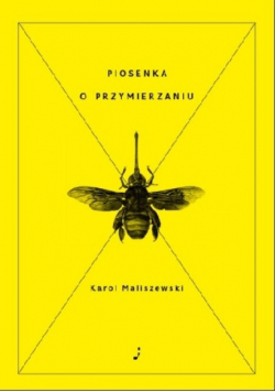 Piosenka O Przymierzaniu