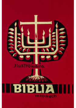 Ilustrowana Biblia młodych