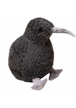 Kiwi czarny 21cm