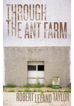 Through the Ant Farm