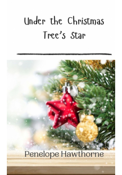 Under the Christmas Tree's Star
