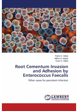Root Cementum Invasion and Adhesion by Enterococcus Faecalis