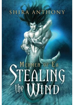 Stealing the Wind