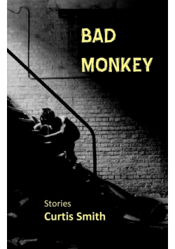 Bad Monkey