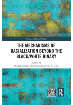 The Mechanisms of Racialization Beyond the Black/White Binary