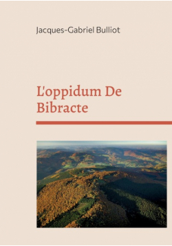 L'oppidum De Bibracte