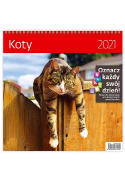 Kalendarz 2021 30x30 Koty HELMA