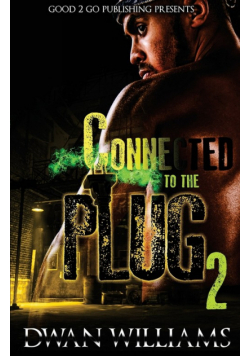 Connected to the plug 2
