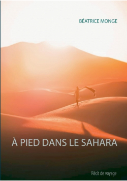 À Pied Dans Le Sahara