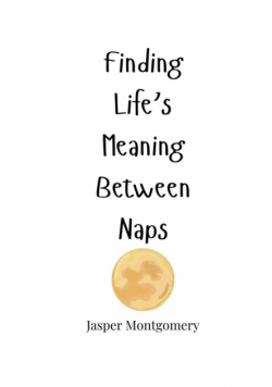 Finding Life's Meaning Between Naps