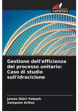 Gestione dell'efficienza del processo unitario
