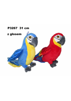 Papuga z głosem 31cm MIX