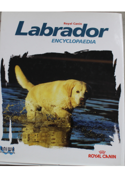 Labrador encyklopedia