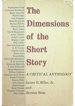 The dimension of the Short Story