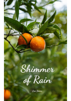 Shimmer of Rain