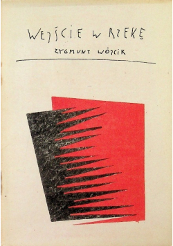 Wejście w rzekę
