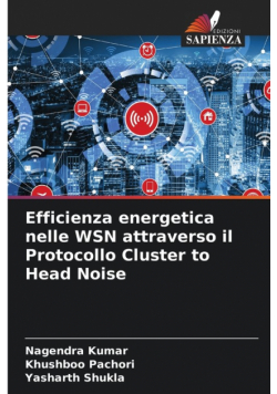Efficienza energetica nelle WSN attraverso il Protocollo Cluster to Head Noise