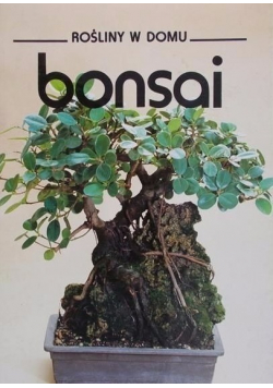Rośliny w domu Bonsai