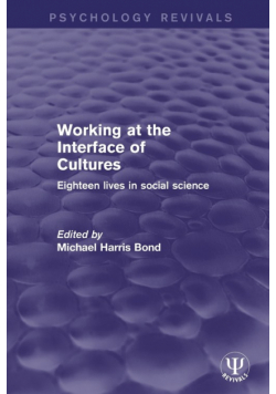 Working at the Interface of Cultures