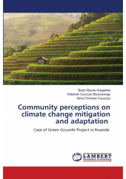 Community perceptions on climate change mitigation and adaptation
