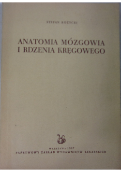 Anatomia mózgowa i rdzenia kręgowego
