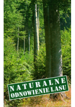 Naturalne odnowienie lasu