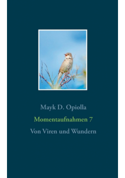 Momentaufnahmen 7