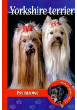 Pika przedstawia Yorkshire Terrier Psy rasowe