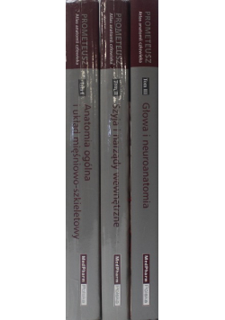 Prometeusz Atlas anatomii człowieka III Tomy