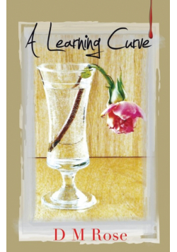 A Learning Curve