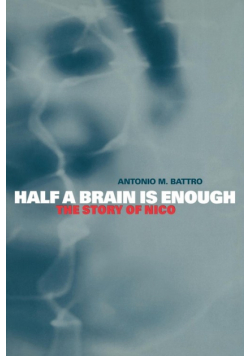 Half a Brain Is Enough
