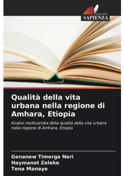 Qualità della vita urbana nella regione di Amhara, Etiopia
