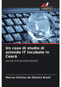 Un caso di studio di aziende IT incubate in Ceará