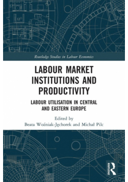 Labour Market Institutions and Productivity