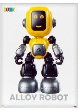 Robot funkcyjny