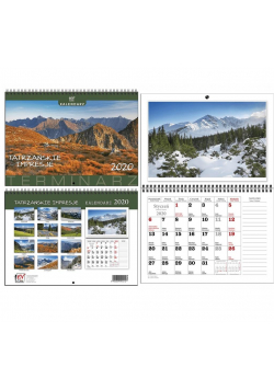 Kalendarz 2020 terminarz A4 poz. Tatry impresje