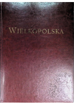 Wielkopolska album widoków