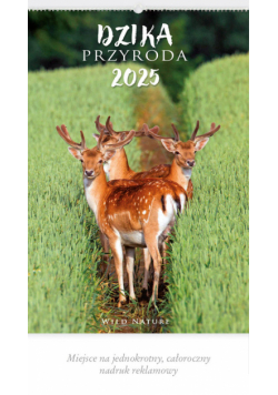 Kalendarz 2025 RW 07 Dzika przyroda