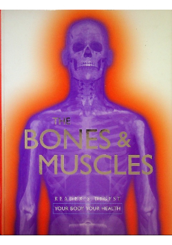 The Bones & Muscles Your Body Your health